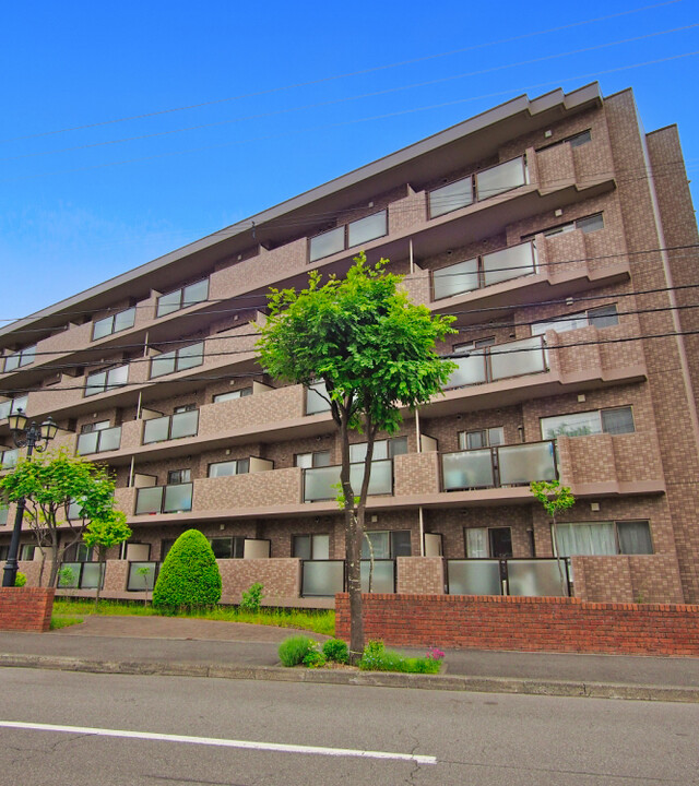 上野幌ファミールハイツ参番館(外観)