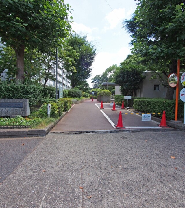新松戸南パークハウス(アプローチ)