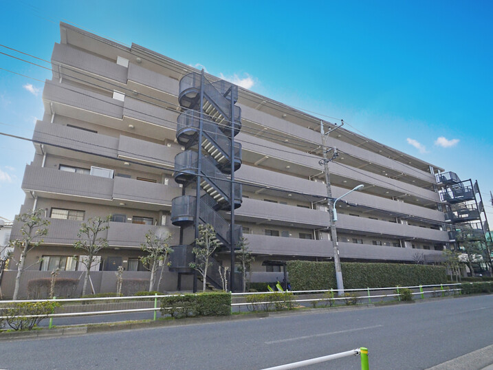 アドリーム蓮根