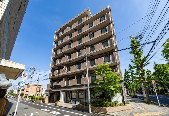 カスティージョ国立