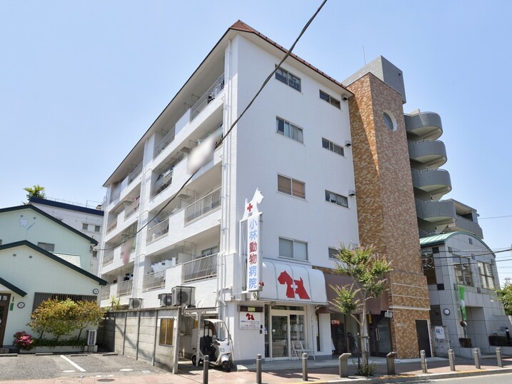 スターハイツ竹の塚