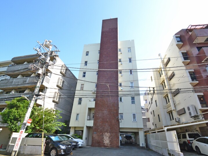 田園スカイマンション