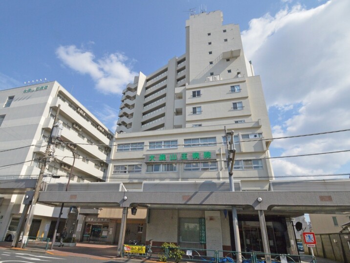山王スカイマンション