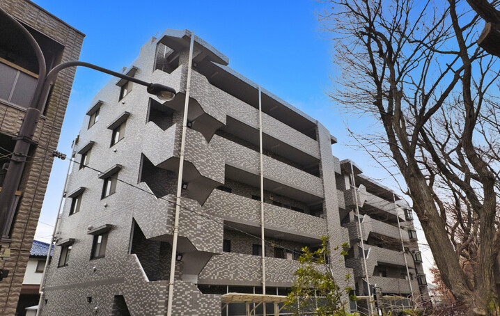 ドウエル玉川上水