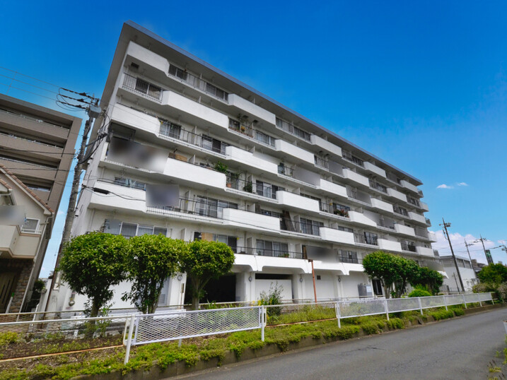 墨水南越谷マンション