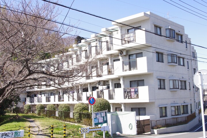 コスモ綱島
