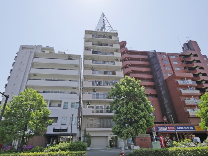 ハイネス貝塚