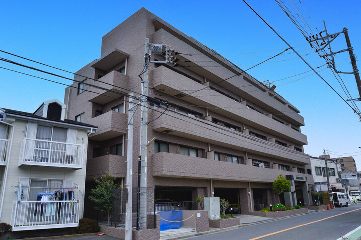 ルピナス辻堂