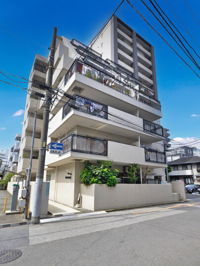 ハイリーハイツ並木