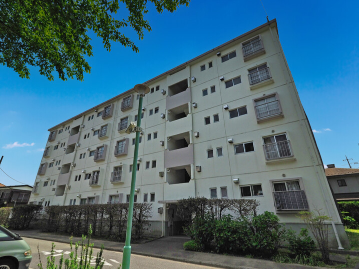 東向地団地