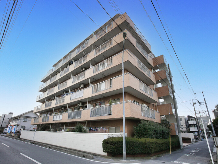 ハイラーク蕨