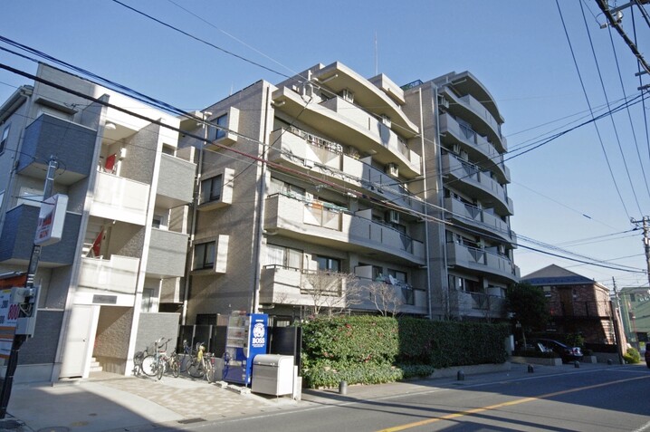レクセルマンション柏