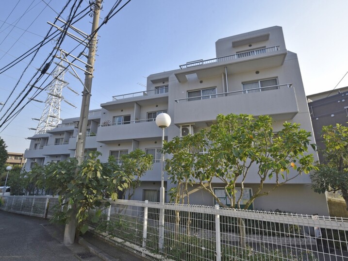 藤和妙蓮寺コープ