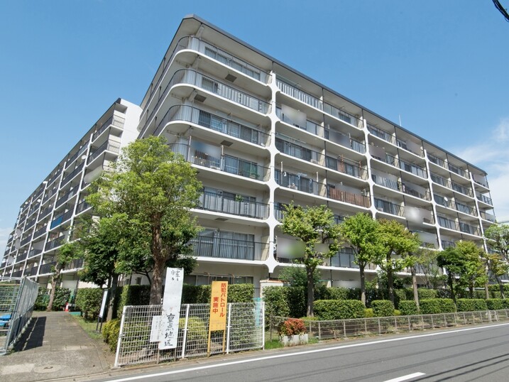ハイラーク横浜白山
