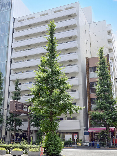 代々木シティホームズ