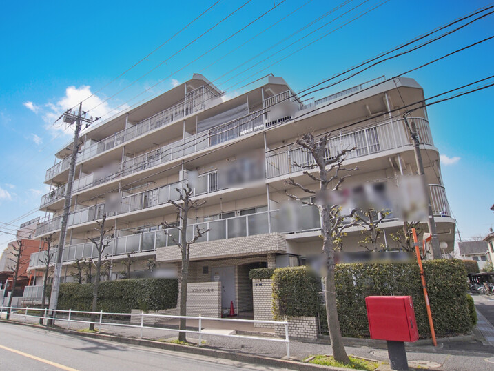 ソフトタウン亀有