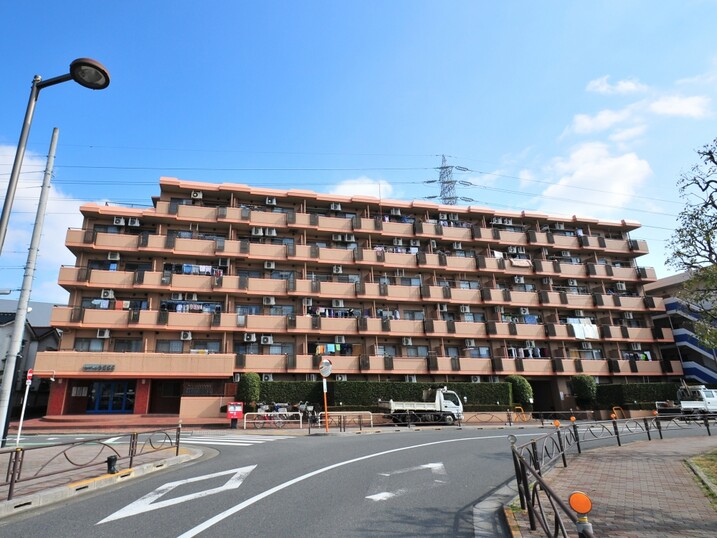 セザールお花茶屋