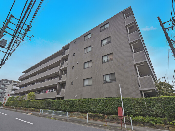 コスモ学芸大学