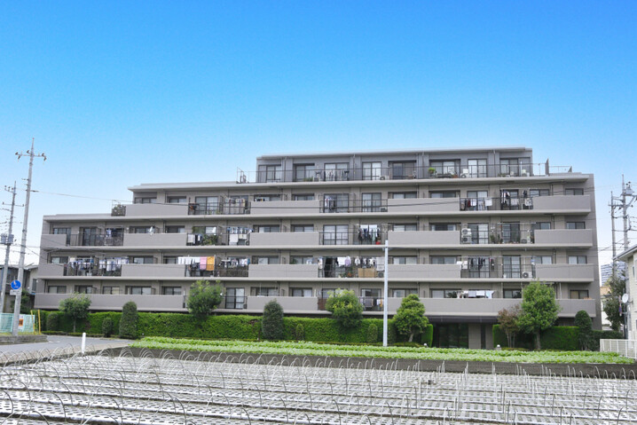 シティふじみ野