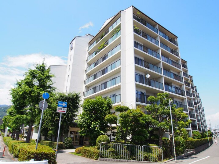 ジークレフ青木