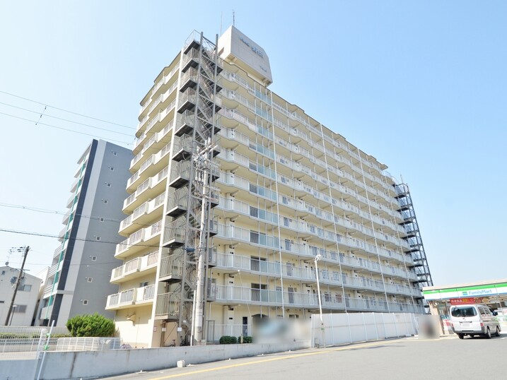 ドルミ野田