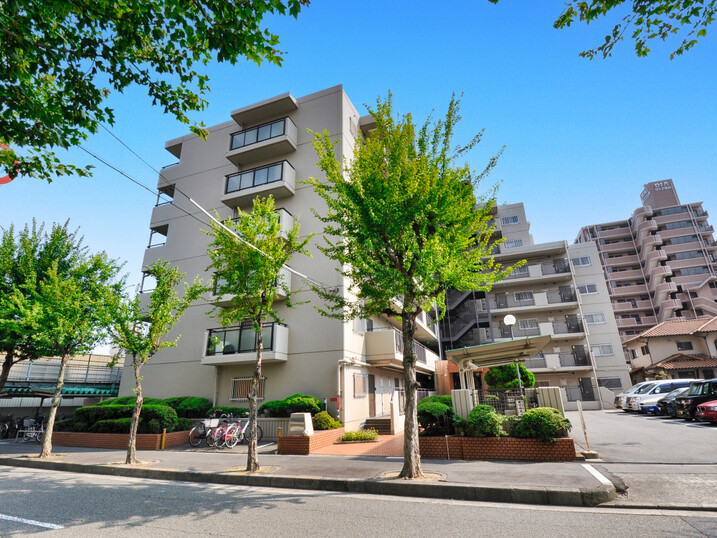 ドムール新北島公園