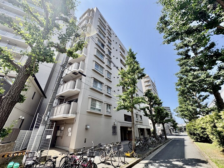 ハイネス阿波座