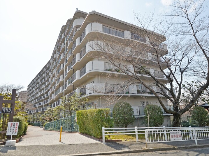 寝屋川コーポラス