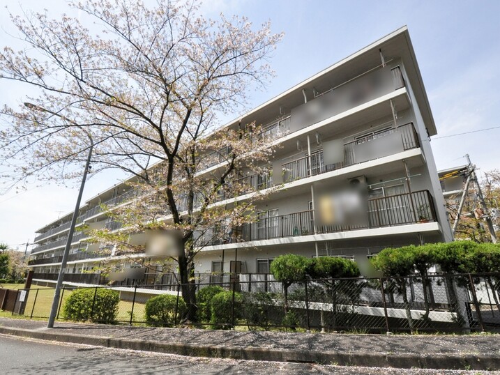醍醐中山団地Ｃ３棟