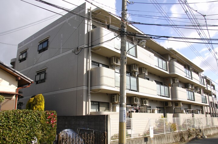 グリーンエクセル柴原