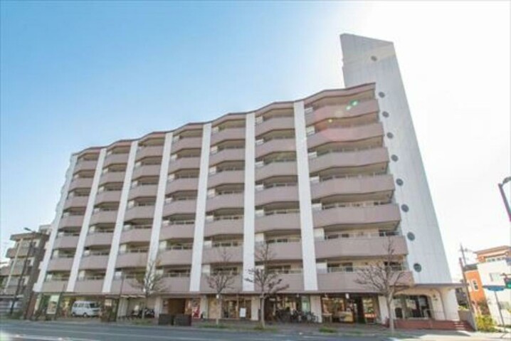 じょい下鴨