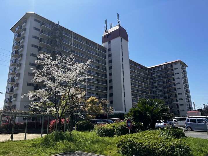 オリーブハイツ相川
