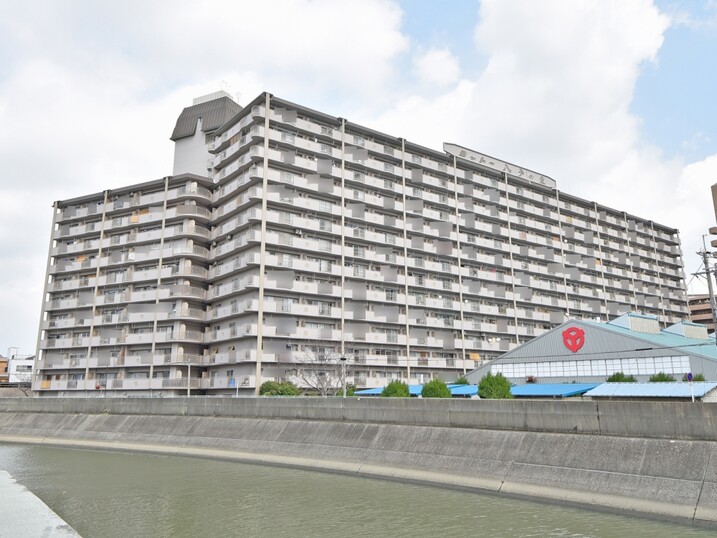 シャトー八戸ノ里