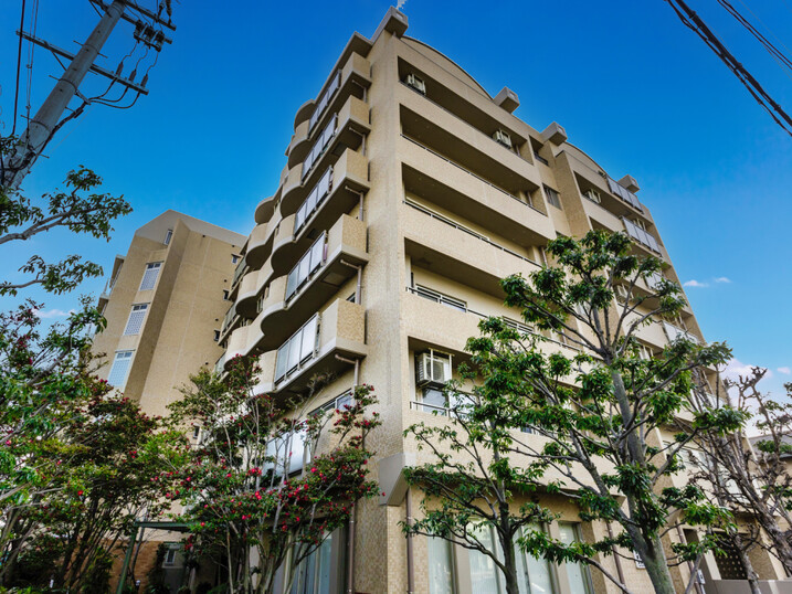 芦屋親王塚ヴォーン