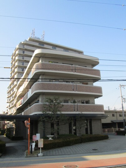 ディオフェルティ粉浜