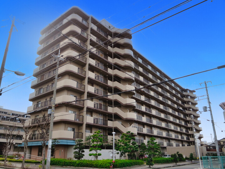 ディオフェルティ平野