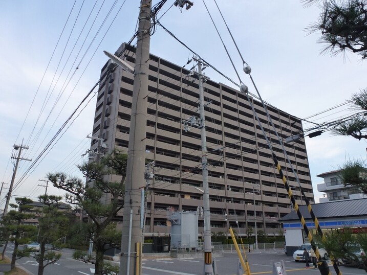 コスモシティ住吉川公園