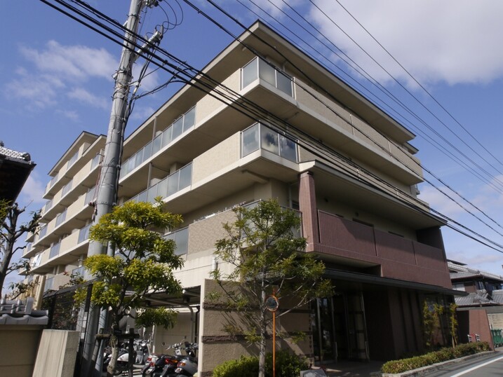 ネバーランド伏見桃山