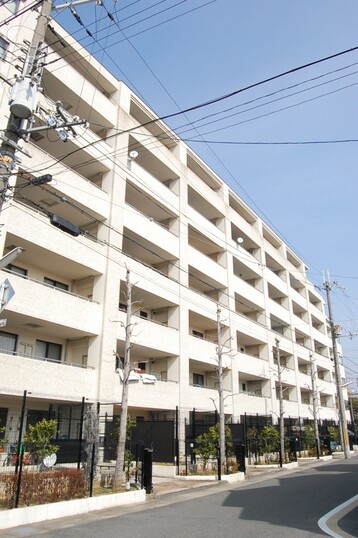 ネバーランド桂