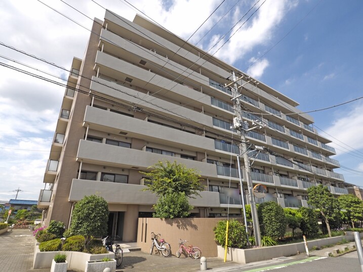 デイズ草加