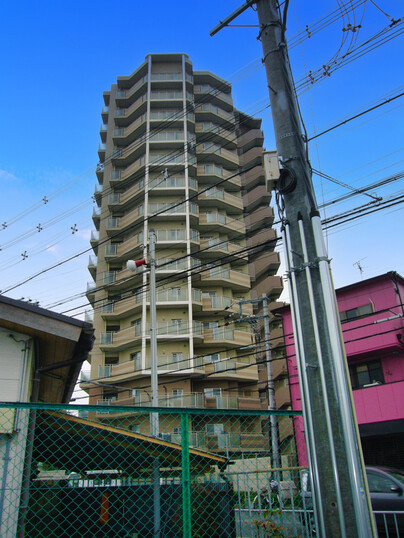 ルネ白鷺