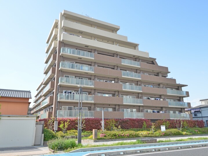 ライオンズ高石