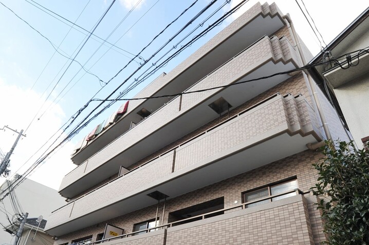 エクセルコート神若