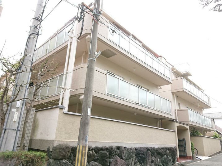 岡本メイト
