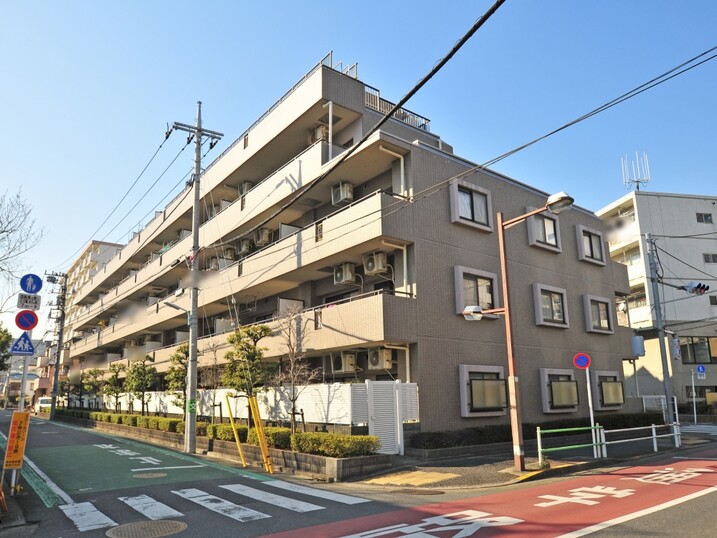 エヴァーグリーン青砥