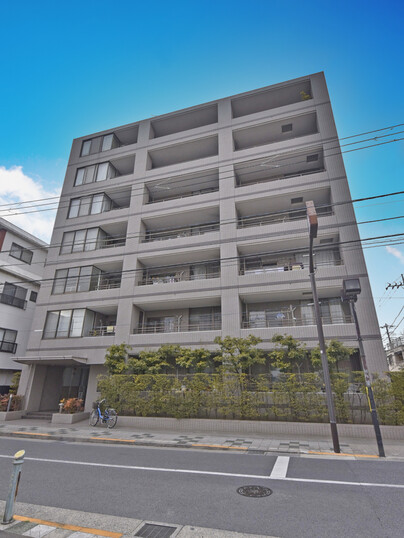 ステイツ東小岩