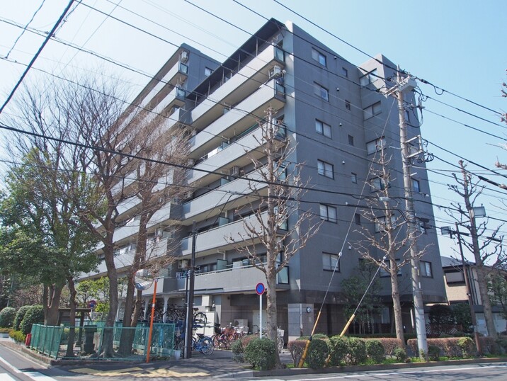 サンライフ新小岩親水公園