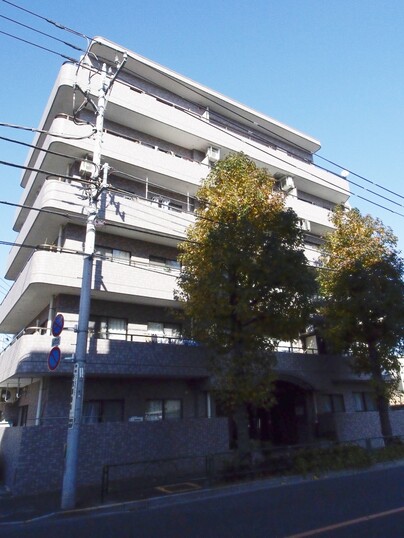 ドムール江古田