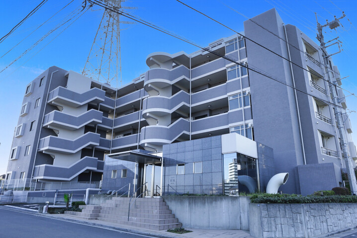 アルブル朝霞