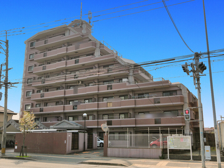 アムール大橋南